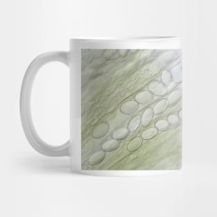 Ascospores under the microscope Mug